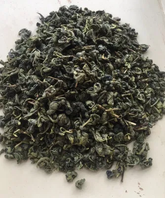 China Grüner Tee für Usbekistan, Kasachstan Gunpowder 9501, 3505, 9374