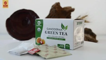 Kostenlose Probe, hochwertiger Premium-Großhandel mit 100 % Bio-Reishi-Pilz-Lingzhi-Extrakt, grüner Teebeutel, Ganoderma-Tee