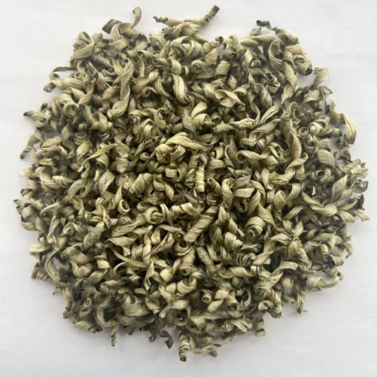 Hochgebirgs-Grüntee Premium handgemachter Xue Long Snow Dragon Tee