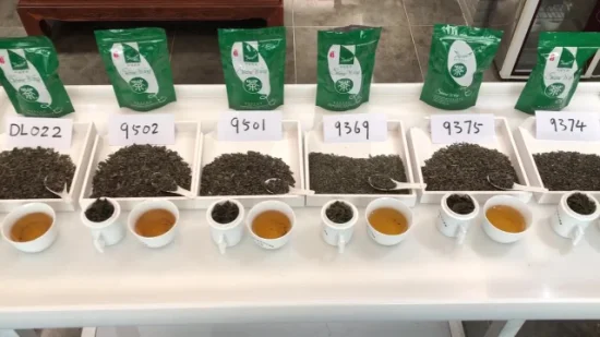Chunmee-Tee 9371, 8147, 9367, 9366 Grüner Tee Großhandel